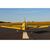 AVION CARBON-Z T-28 Trojan 1980mm PNP, 2 image
