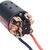 SURPASS 550 Brushed skewed armature 5 slot 10T 18500 RPM for Crawler, 5 image