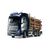 Volvo FH16 Globetrotter 750 6x4 Timber Truck, 3 image