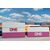 40 Container ONE  5er-Set