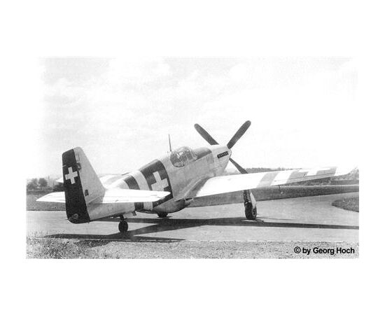 ARW10.61042-P-51B Mustang