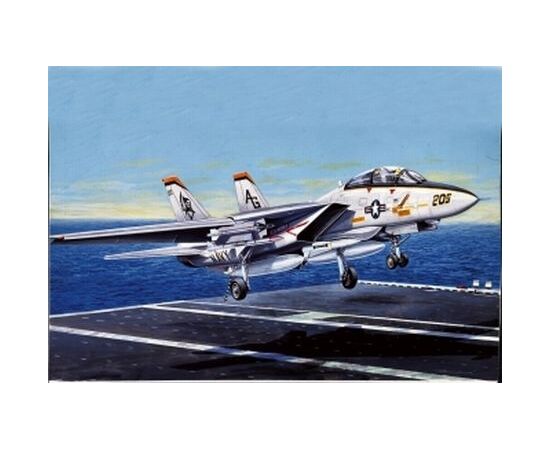 ARW9.01156-F-14 A Tomcat
