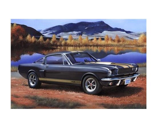 ARW90.07242-Shelby Mustang GT 350 H
