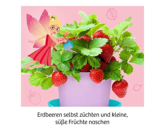 LEM657819-MITBRING Feen-Erdbeeren 6-9