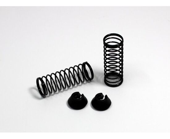 AB1230075-Shock Cover/Spring (2) Buggy/Truggy