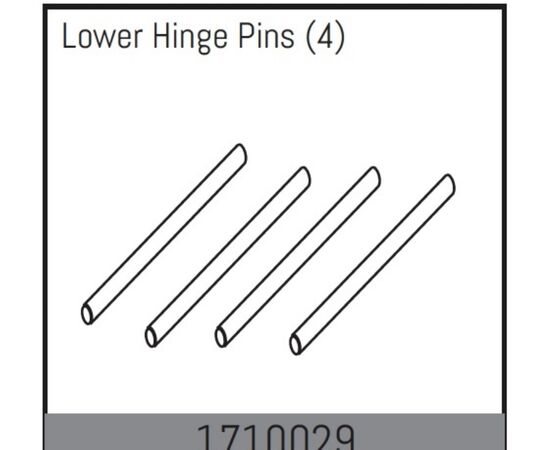 AB1710029-Lower Hinge Pins (4)
