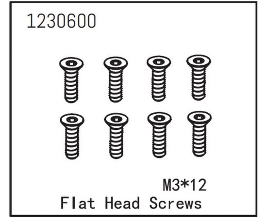 AB1230600-Flat Head Screw M3*12 (8)