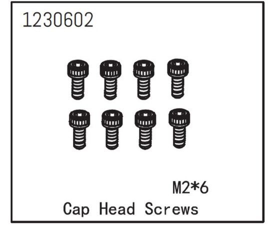 AB1230602-Cap Head Screw M2*6 (8)
