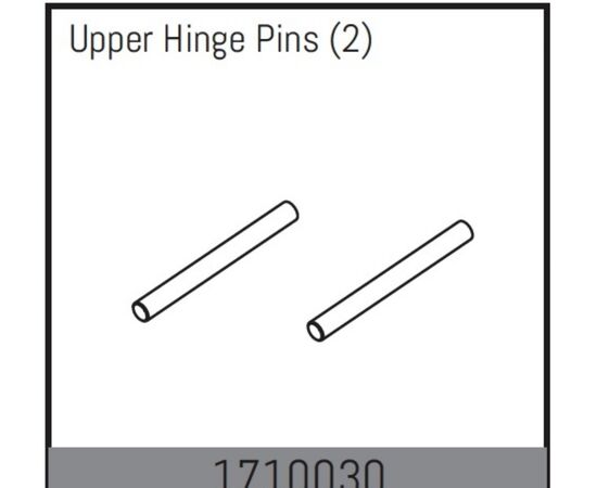 AB1710030-Upper Hinge Pins (2)