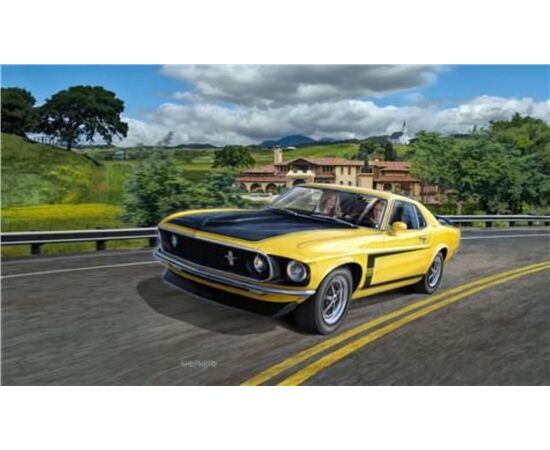 ARW90.07025-1969 Boss 302 Mustang