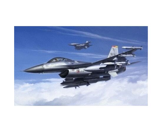 ARW10.61098-F-16CJ Fighting Falcon