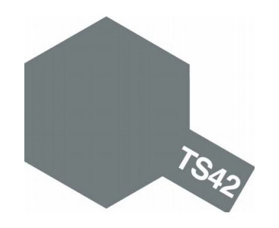 ARW10.85042-Spray TS-42 hmetall