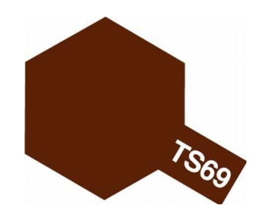 ARW10.85069-Spray TS-69 Linoleum Deck Brown