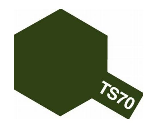 ARW10.85070-Spray TS-70 olive Drab