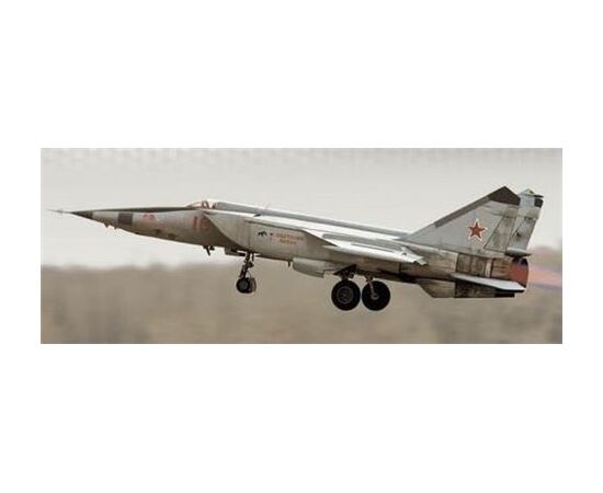 ARW90.03878-MiG-25 RBT