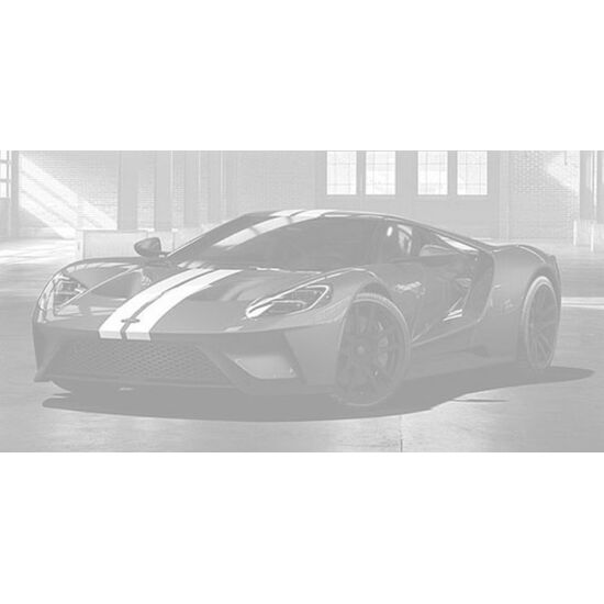 FORD GT - 2018 - BLACK W/ SILVER STRI