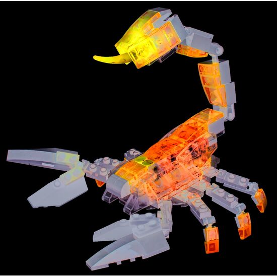 Scorpion Standoff, 4 image