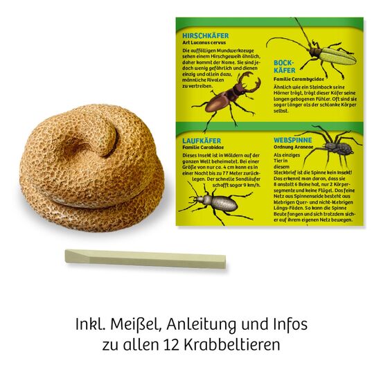 DISPLAY AUSGRABEN KrabbelAlarm 24x 5+, 4 image