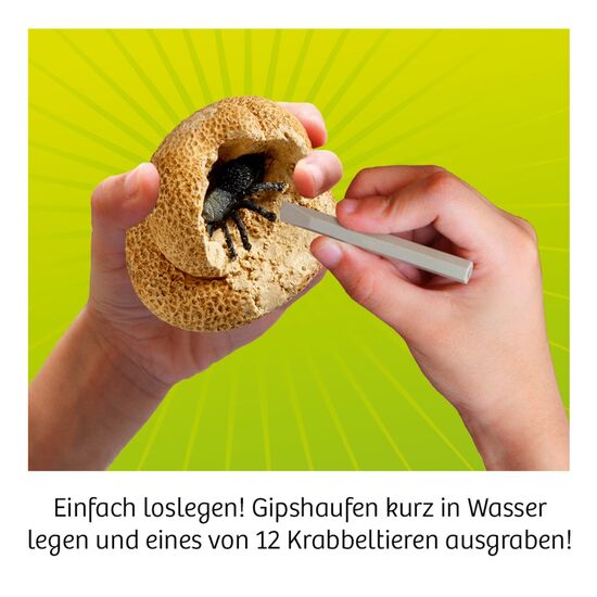 DISPLAY AUSGRABEN KrabbelAlarm 24x 5+, 5 image