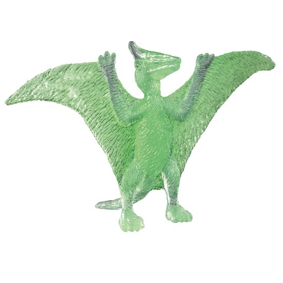 DISPLAY AUSGRABEN Dinos Nachtl.24x 5+, 2 image