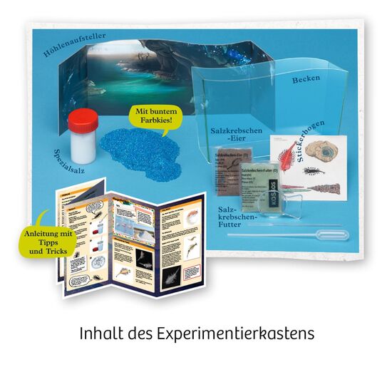 FUN SCIENCE Water Creature D/F/I 8-12, 3 image