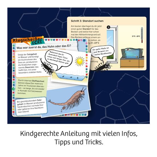 FUN SCIENCE Water Creature D/F/I 8-12, 5 image