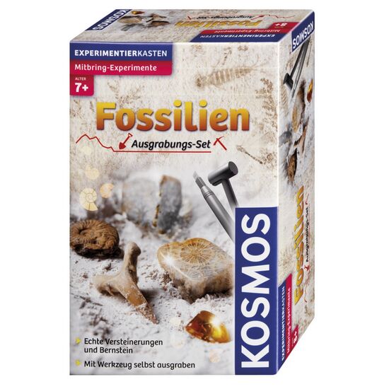 MITBRING Fossilien 7+
