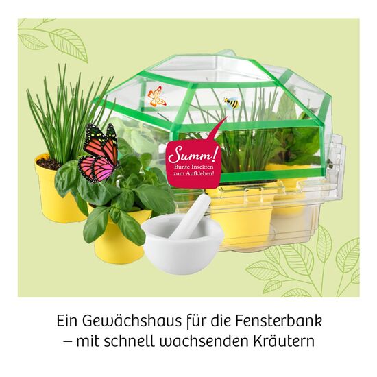 NATUR Kräuter-Garten 6-10, 2 image