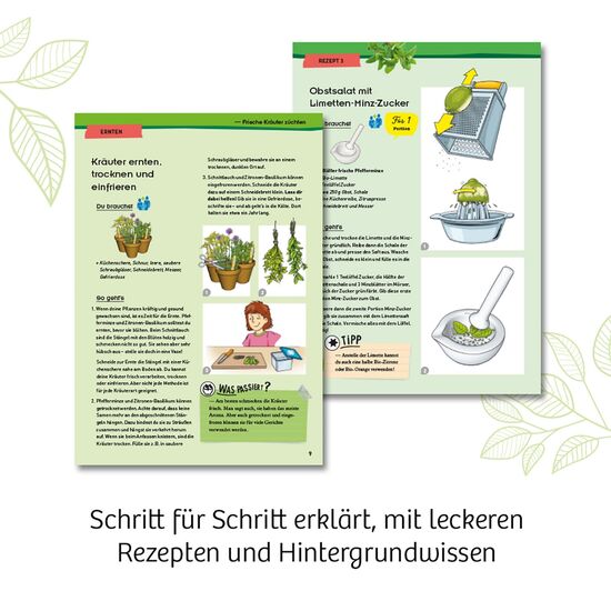 NATUR Kräuter-Garten 6-10, 4 image