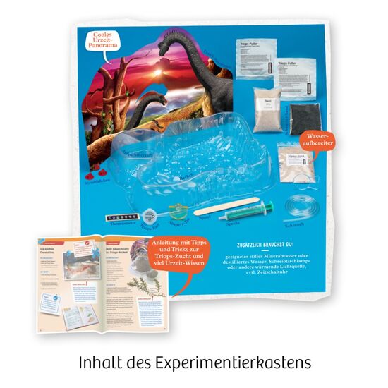 URZEITKREBSE Triops-Giganten 8-14, 3 image
