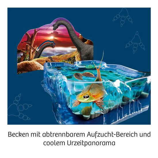 URZEITKREBSE Triops-Giganten 8-14, 4 image