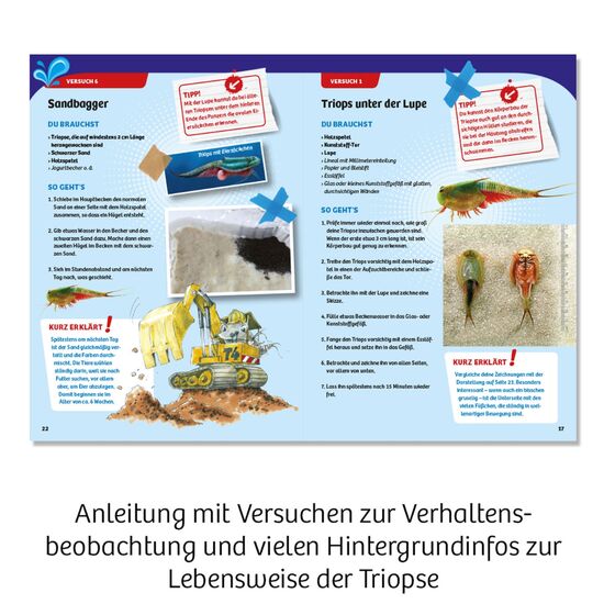 URZEITKREBSE Triops-Giganten 8-14, 6 image