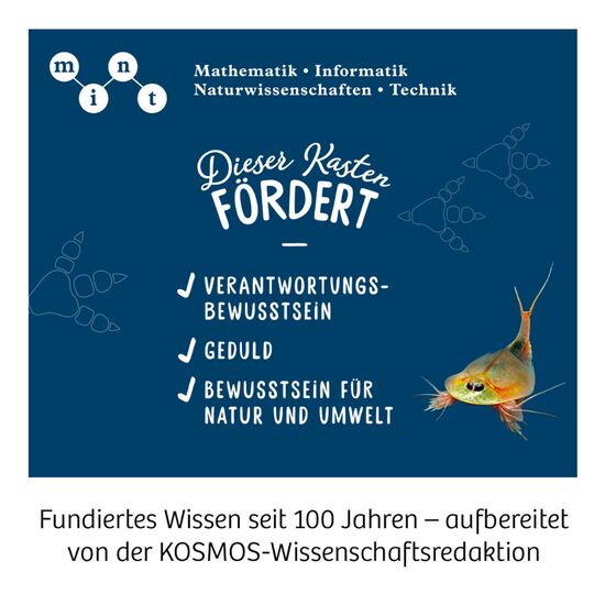 URZEITKREBSE Triops-Giganten 8-14, 7 image