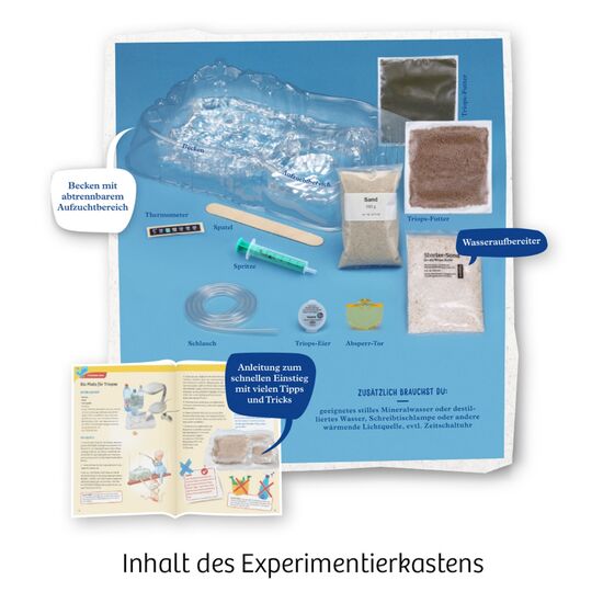 URZEITKREBSE Triops züchten 8-14, 3 image