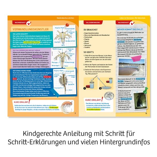 URZEITKREBSE Salz-Krebse 8-14, 5 image