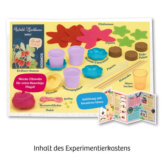 MITBRING Feen-Erdbeeren 6-9, 3 image