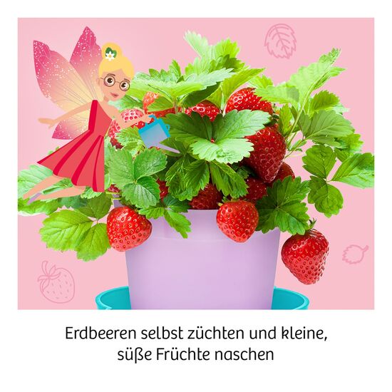 MITBRING Feen-Erdbeeren 6-9, 4 image