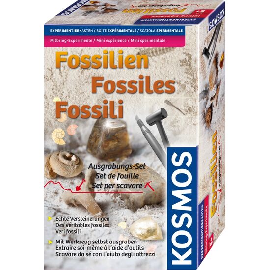 MINIKIT EXP.Fossiles D/F/I 7+