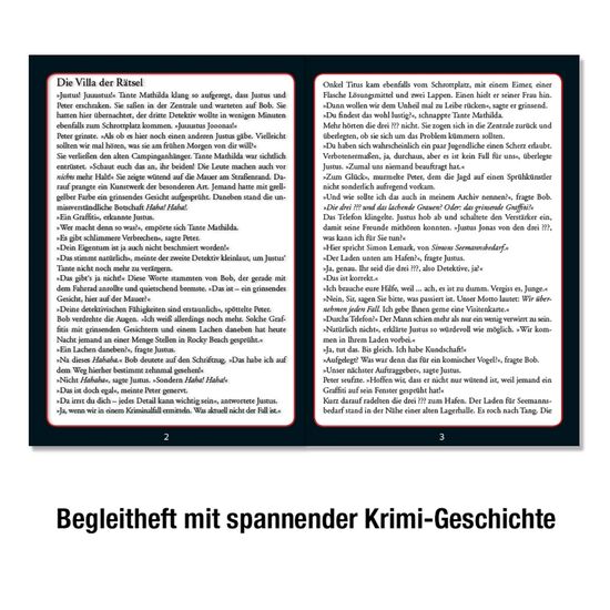 KRIMIPUZZLE ??? Villa Rätsel 300T 10+, 4 image