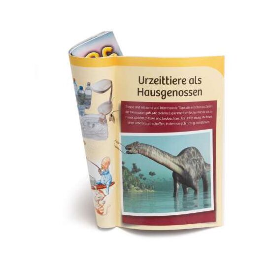 URZEITKREBSE Triops-Giganten 8-14, 10 image