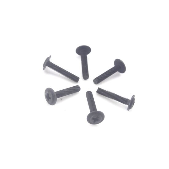 Cap Head Screws 3X16 6P