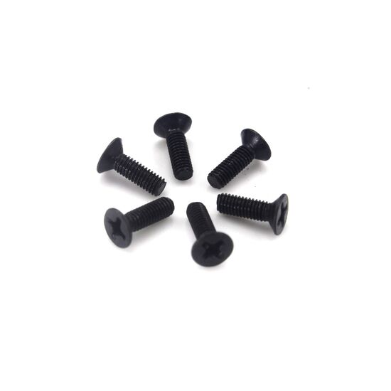 Flat Head Screws 3X10 6P