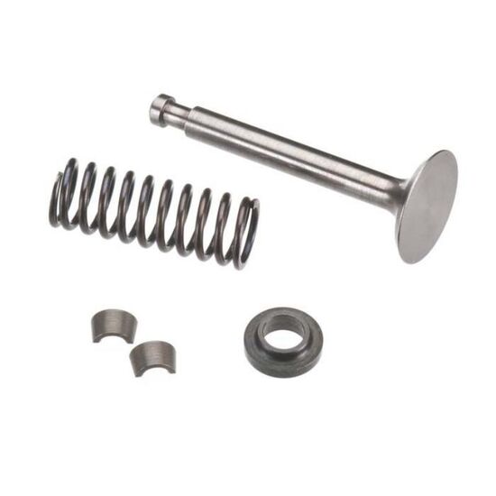 SOUPAPE ECHAPP. SET FS120SE,S3 - 45560040