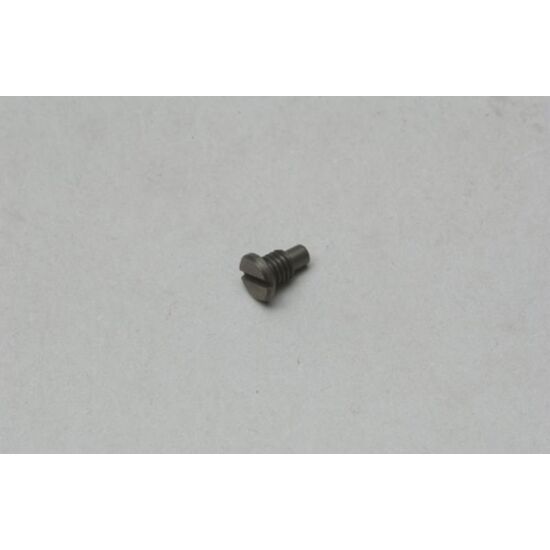 METERING NOZZLE FIXING SCREW  60B