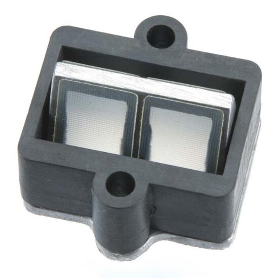 REED VALVE ASSEMBLY GT60