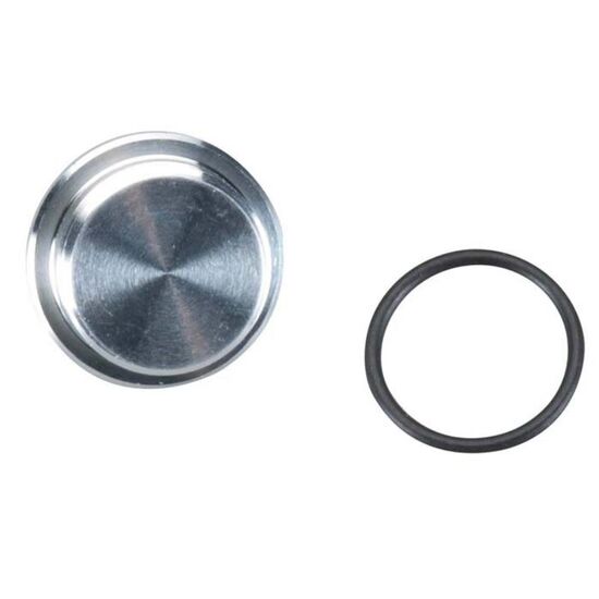 GT55 - CRANKCASE PLUG