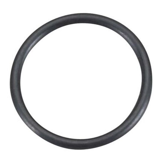 GT55 - O-RING (SS-10.5)