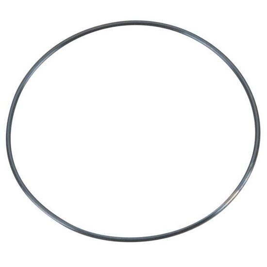 GT55 - O-RING (1.2X54)