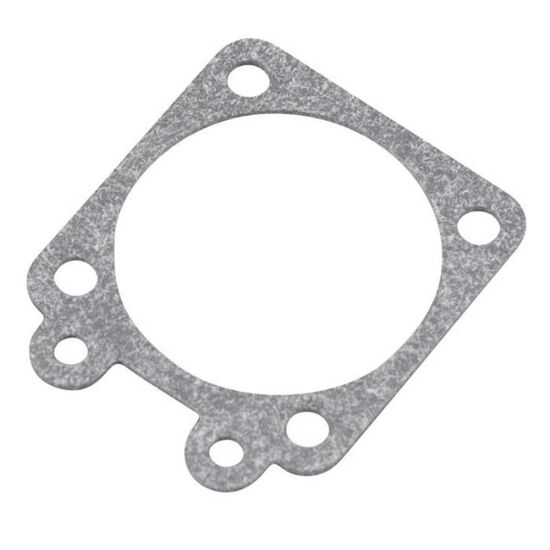 GT55 - GASKET-METERING DIAPHRAGM 92-192