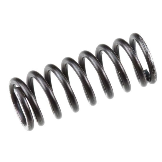 VALVE SPRING FS?155